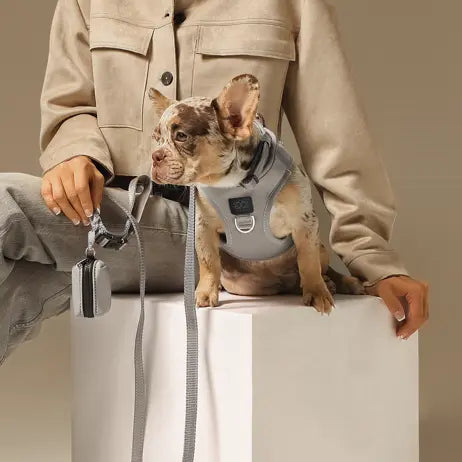 SoHo Dog Harness - Steel Dogistry™