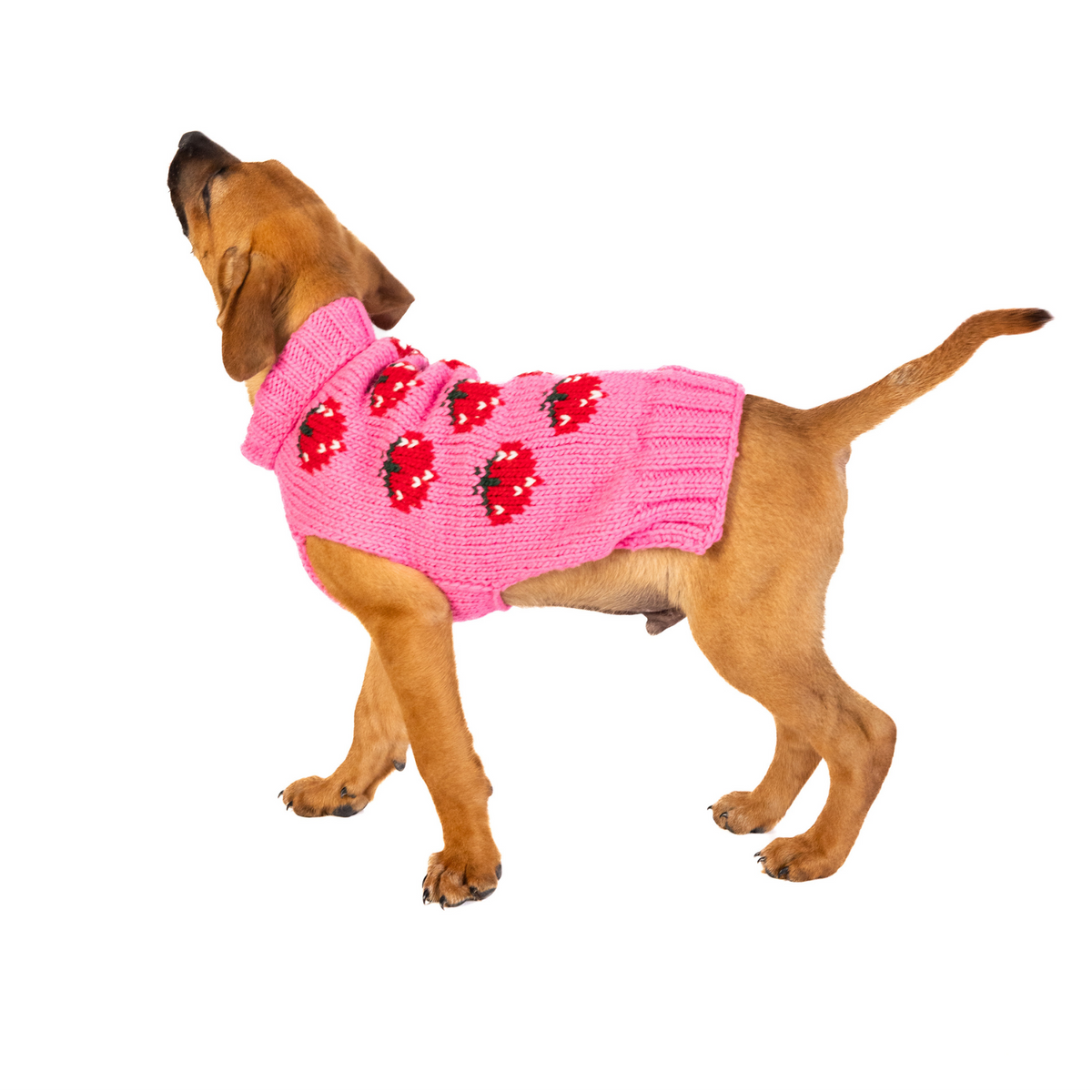 Strawberry Dog Sweater