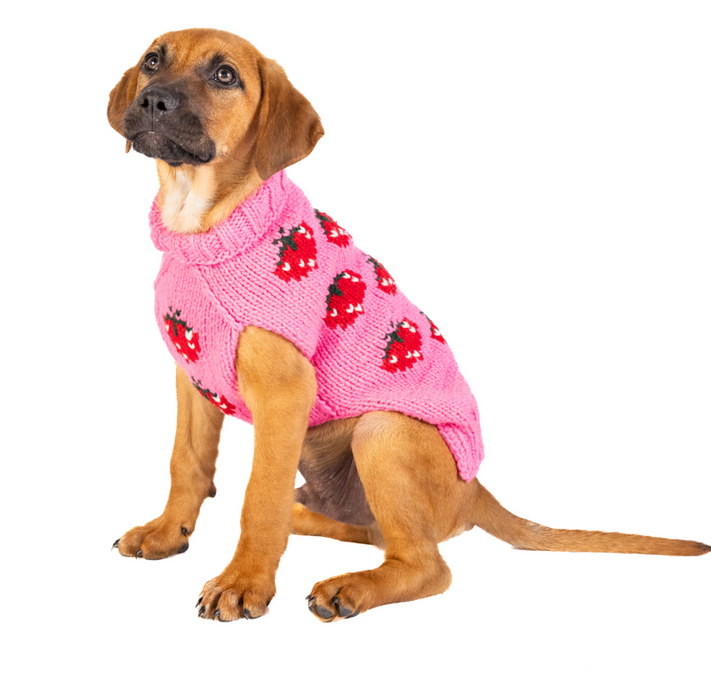 Strawberry Dog Sweater