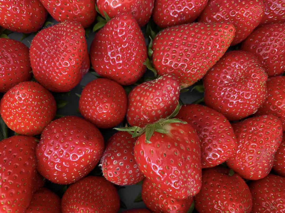 Strawberry Flavored Yak Cheese Chew - made with REAL STRAWBERRY Puree - Single