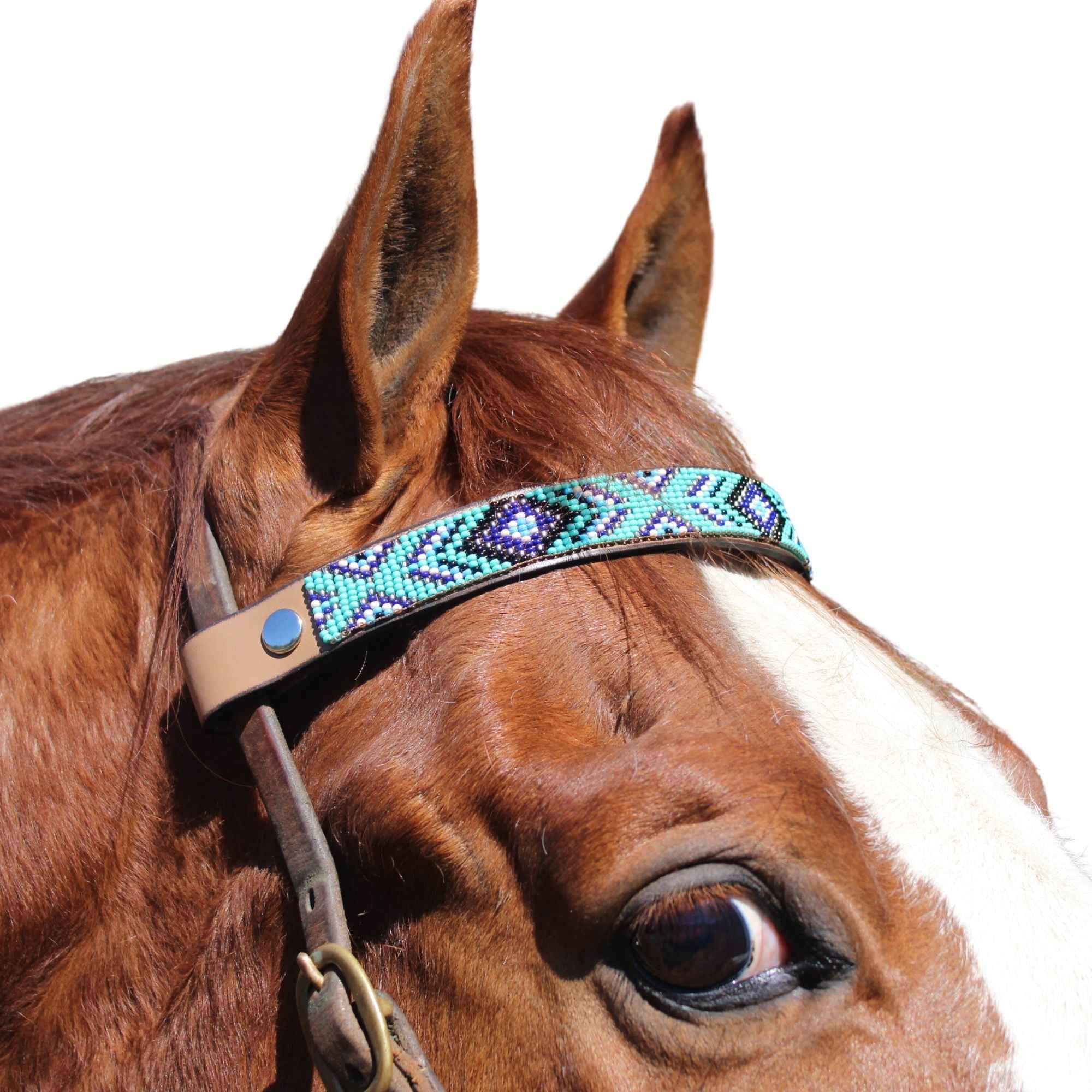 Saint Tropez Sambboho Horse Browband