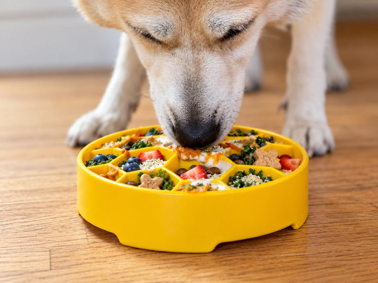 Honeycomb eBowl Deep Slow Feeder Dog Bowl for Enrichment | USA Made