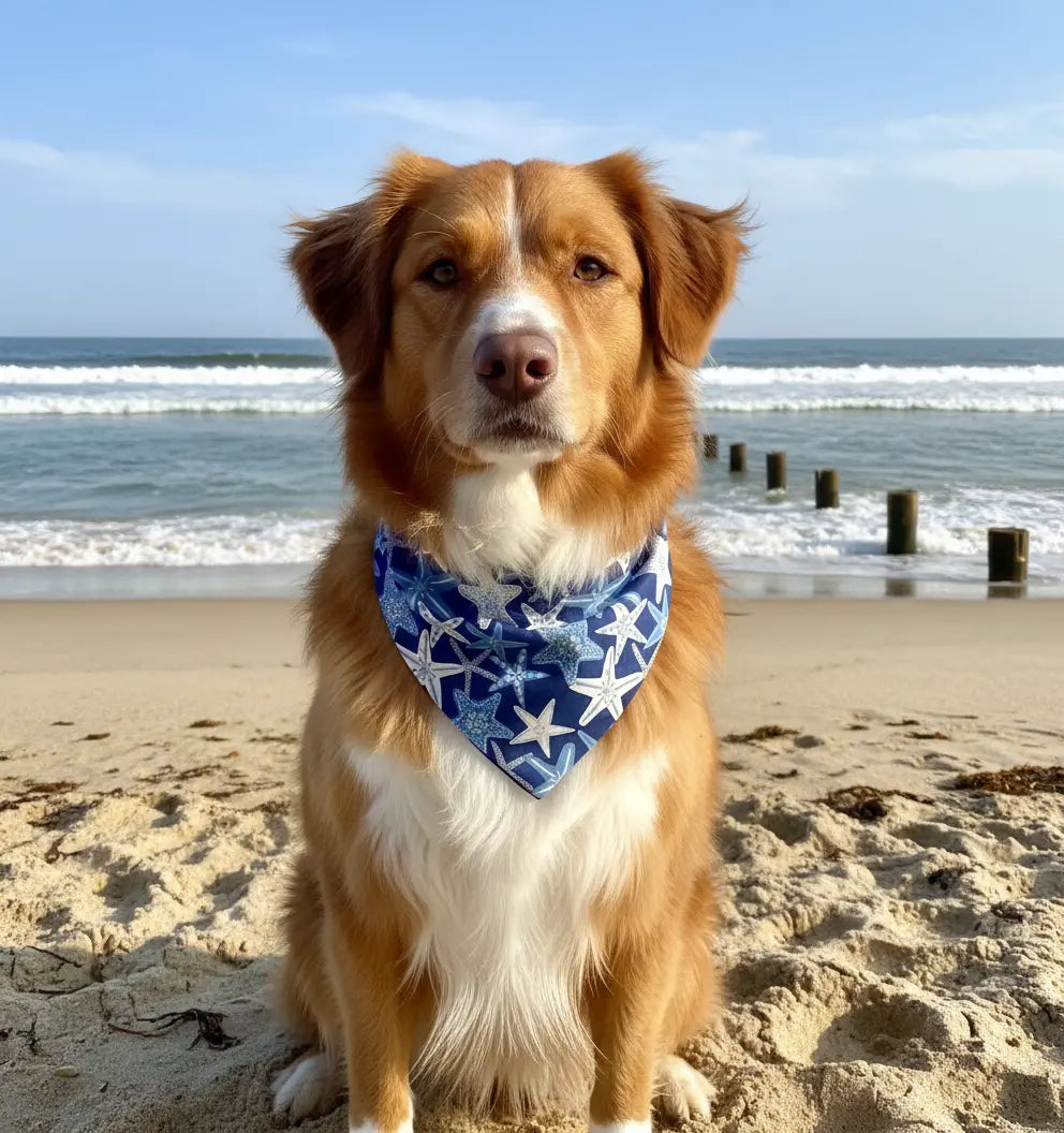 Starfish Dog Bandana Happy Tails Outfitters