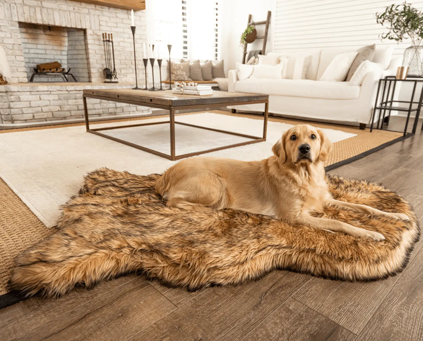 PupRug by Paw.com™ Faux Fur Orthopedic Dog Bed - Curve Sable Tan Paw.com
