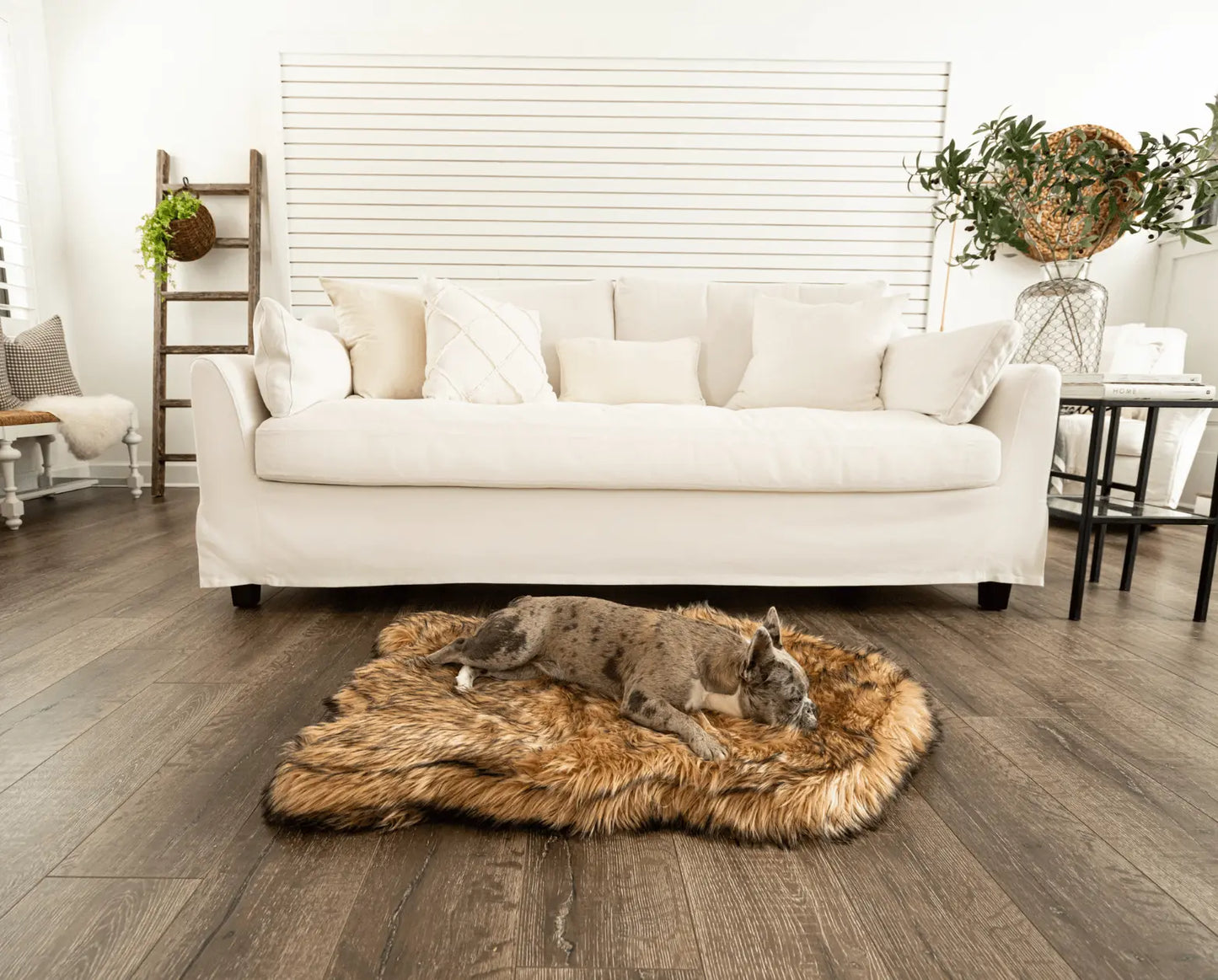 PupRug by Paw.com™ Faux Fur Orthopedic Dog Bed - Curve Sable Tan Paw.com