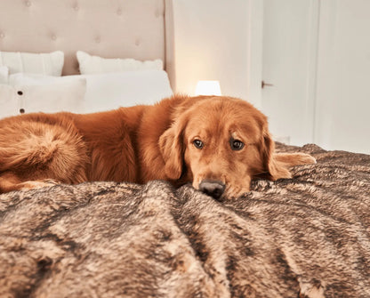 PupProtector™ Summer Short Fur Waterproof Throw Blanket - Sable Tan Paw.com