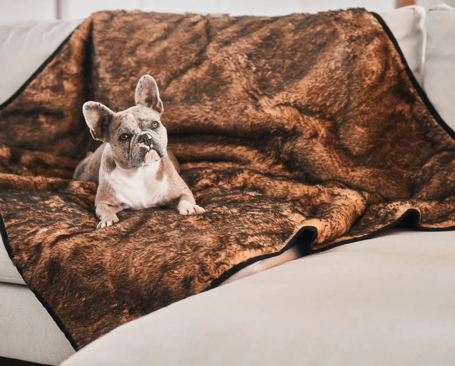 PupProtector™ Summer Short Fur Waterproof Throw Blanket - Sable Tan Paw.com