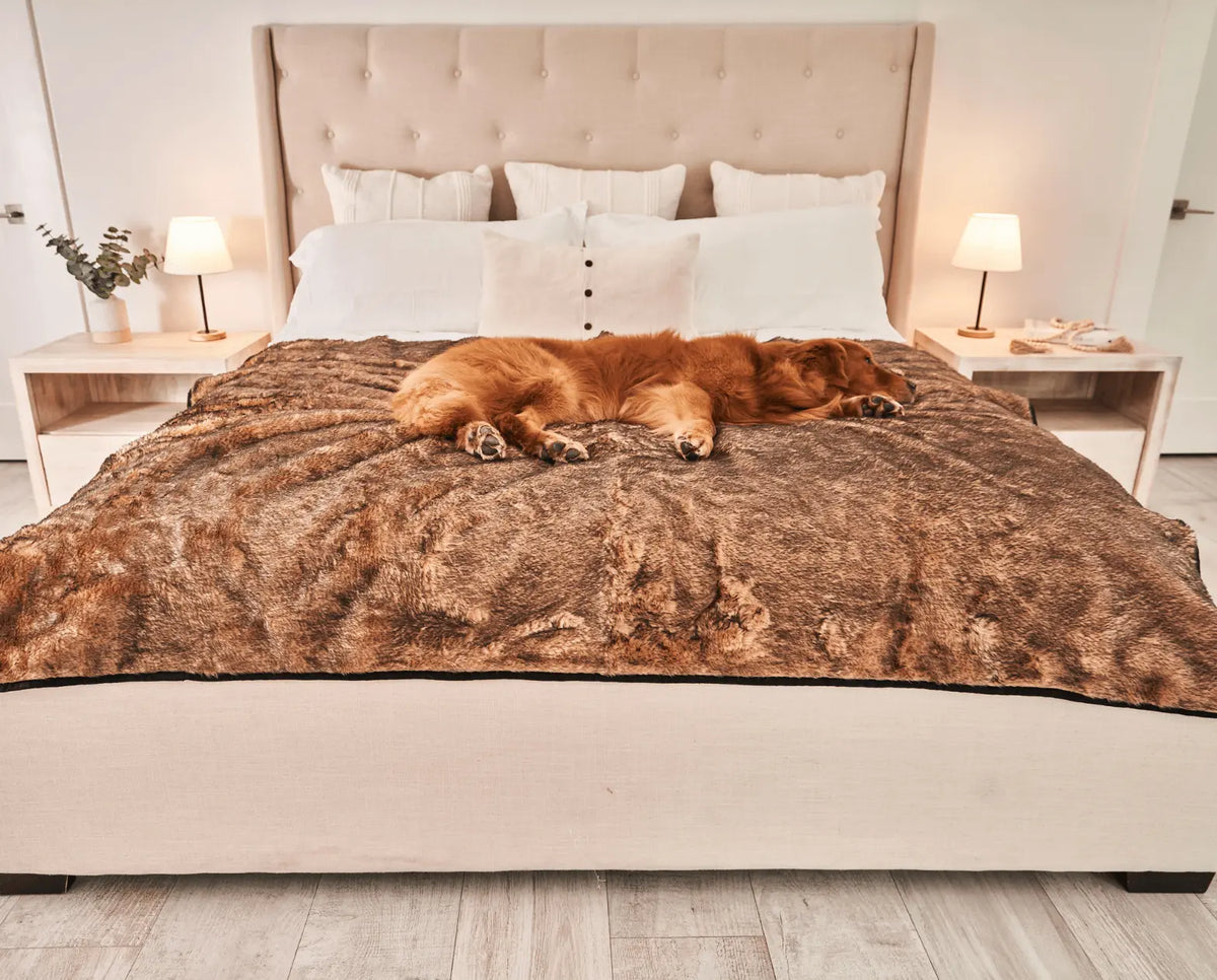 PupProtector™ Summer Short Fur Waterproof Throw Blanket - Sable Tan