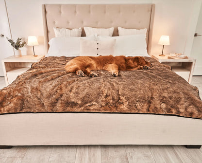 PupProtector™ Summer Short Fur Waterproof Throw Blanket - Sable Tan Paw.com