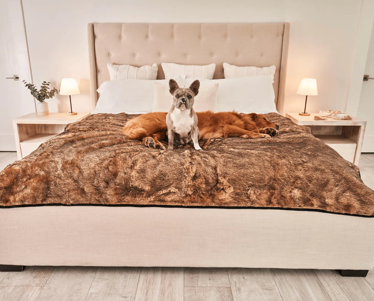 PupProtector™ Summer Short Fur Waterproof Throw Blanket - Sable Tan Paw.com