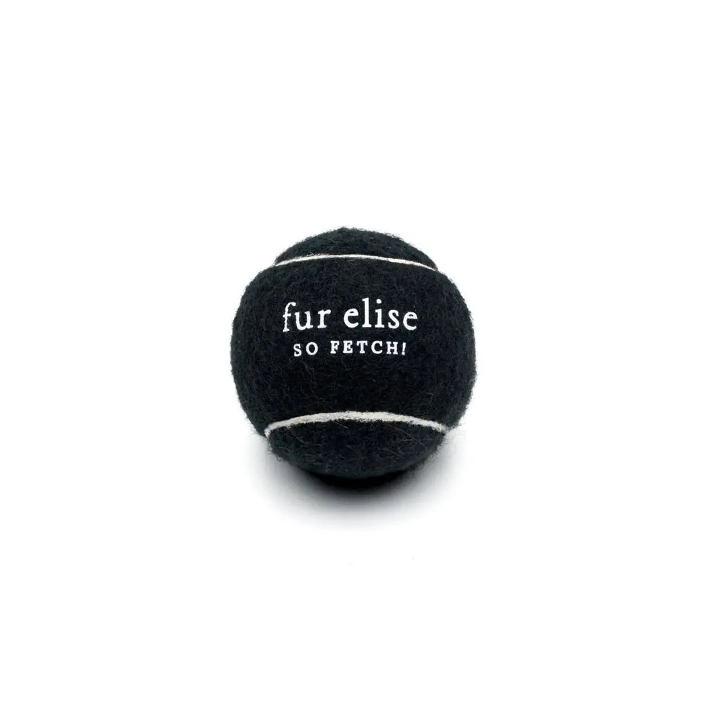 Fur Elise So Fetch! Tennis Ball Pack of 5 - Noire