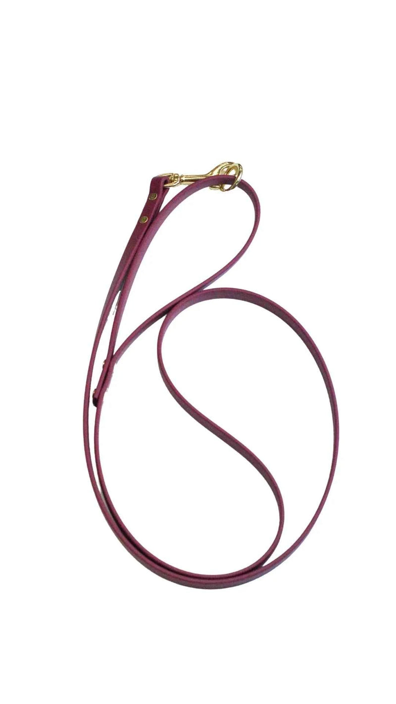 Violet Waterproof Biothane Leash