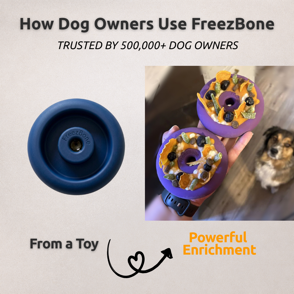Tough Chewer Bundle - Extra-thick natural rubber for power chewers