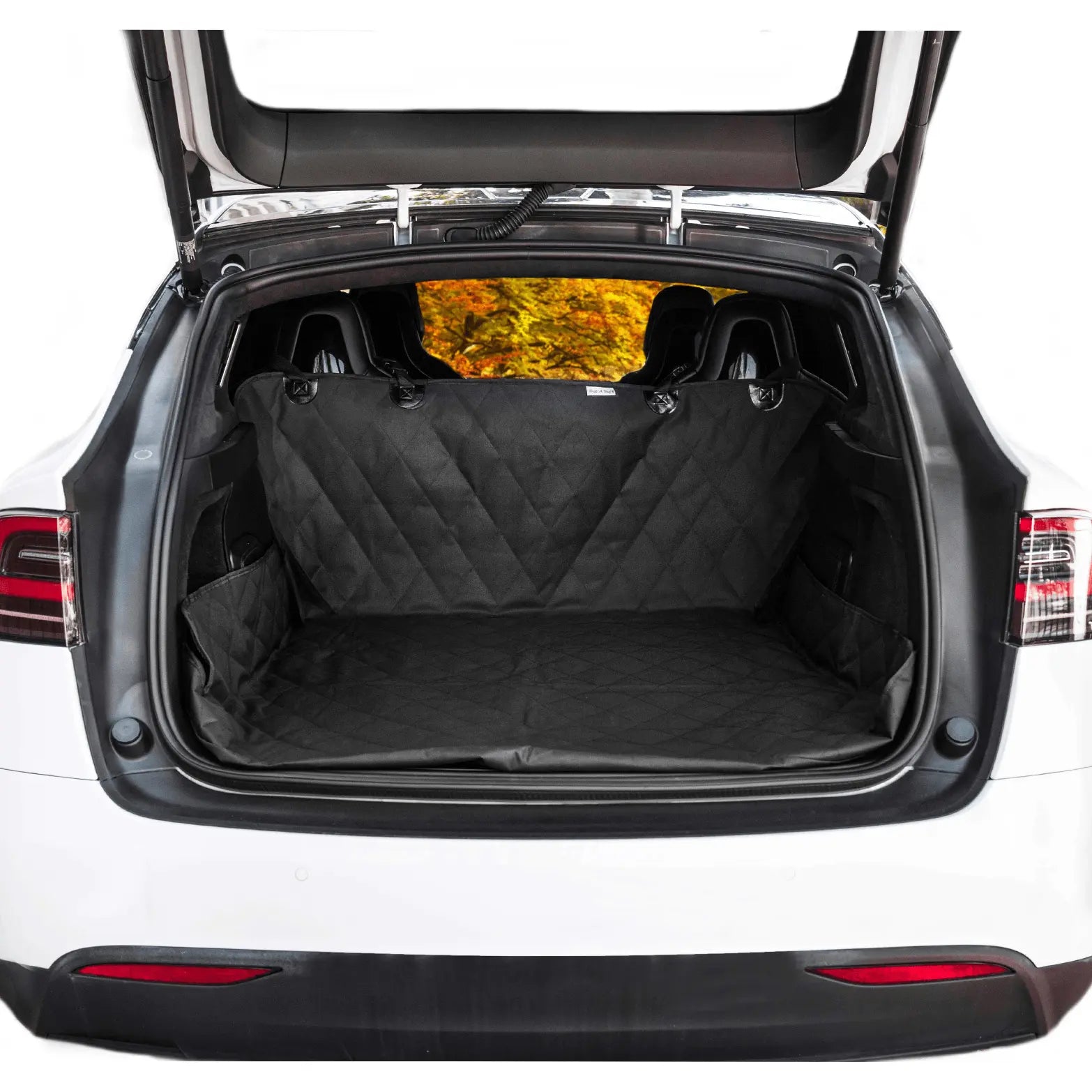 PupProtector™ Cargo Cover Liner for SUVs and Cars Paw.com