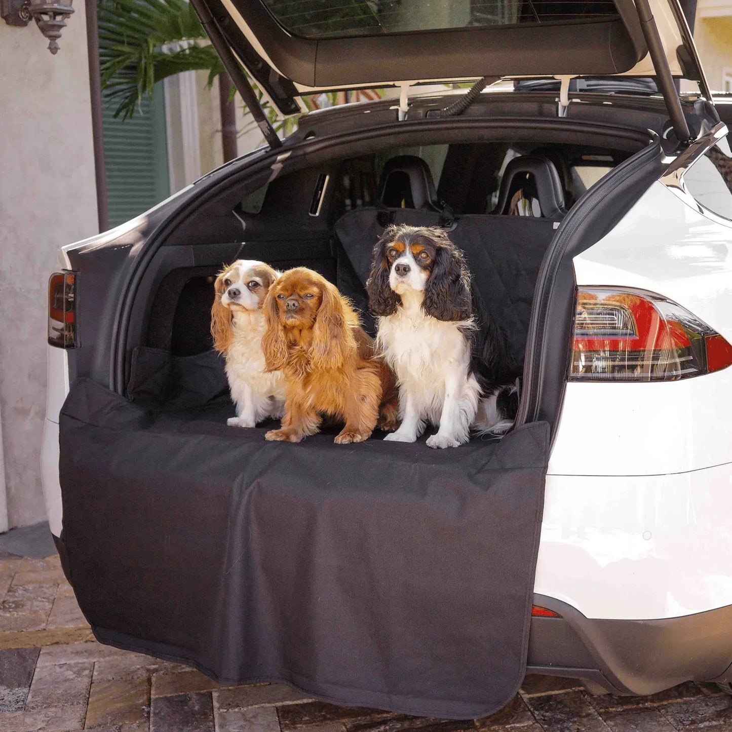 PupProtector™ Cargo Cover Liner for SUVs and Cars Paw.com