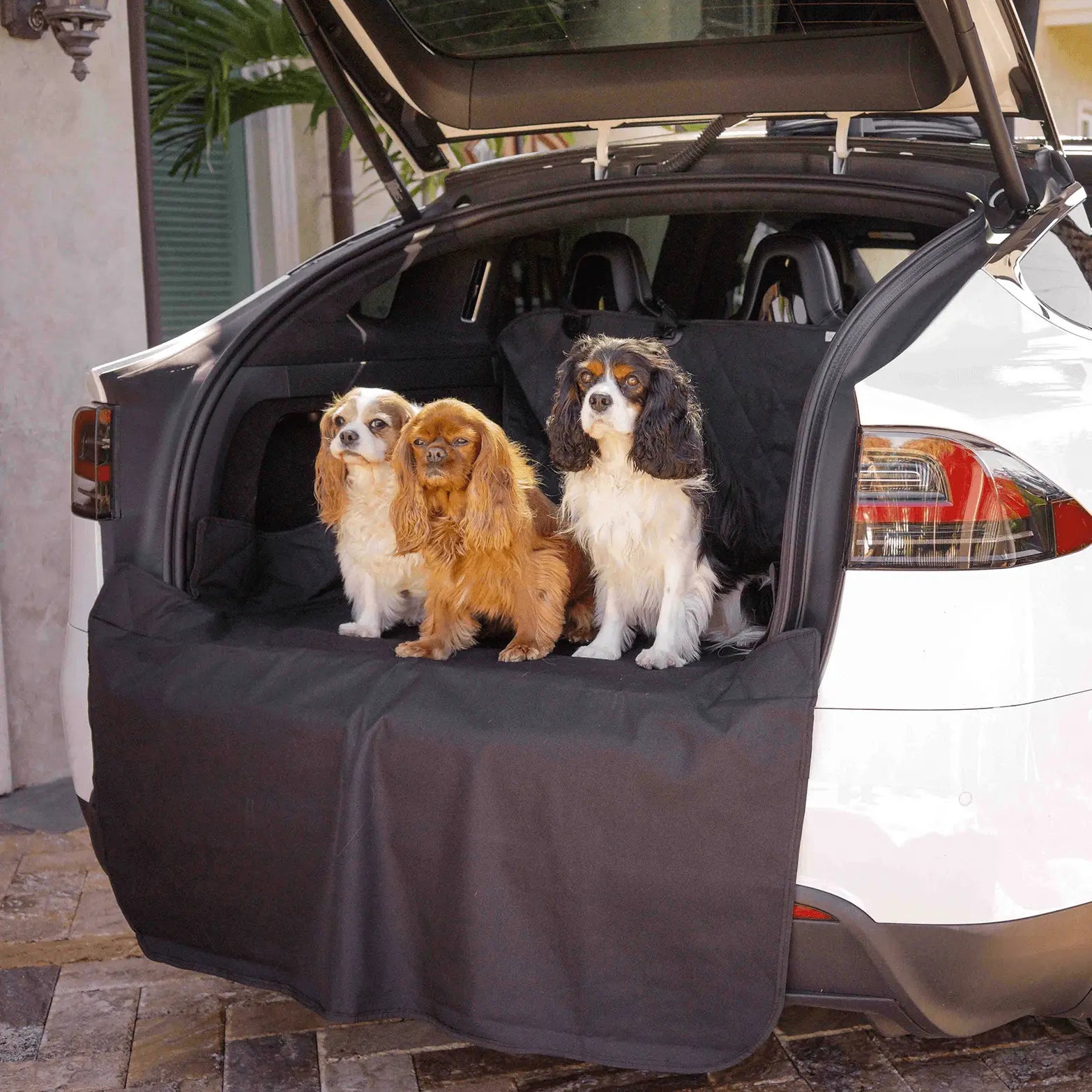 PupProtector™ Cargo Cover Liner for SUVs and Cars Paw.com
