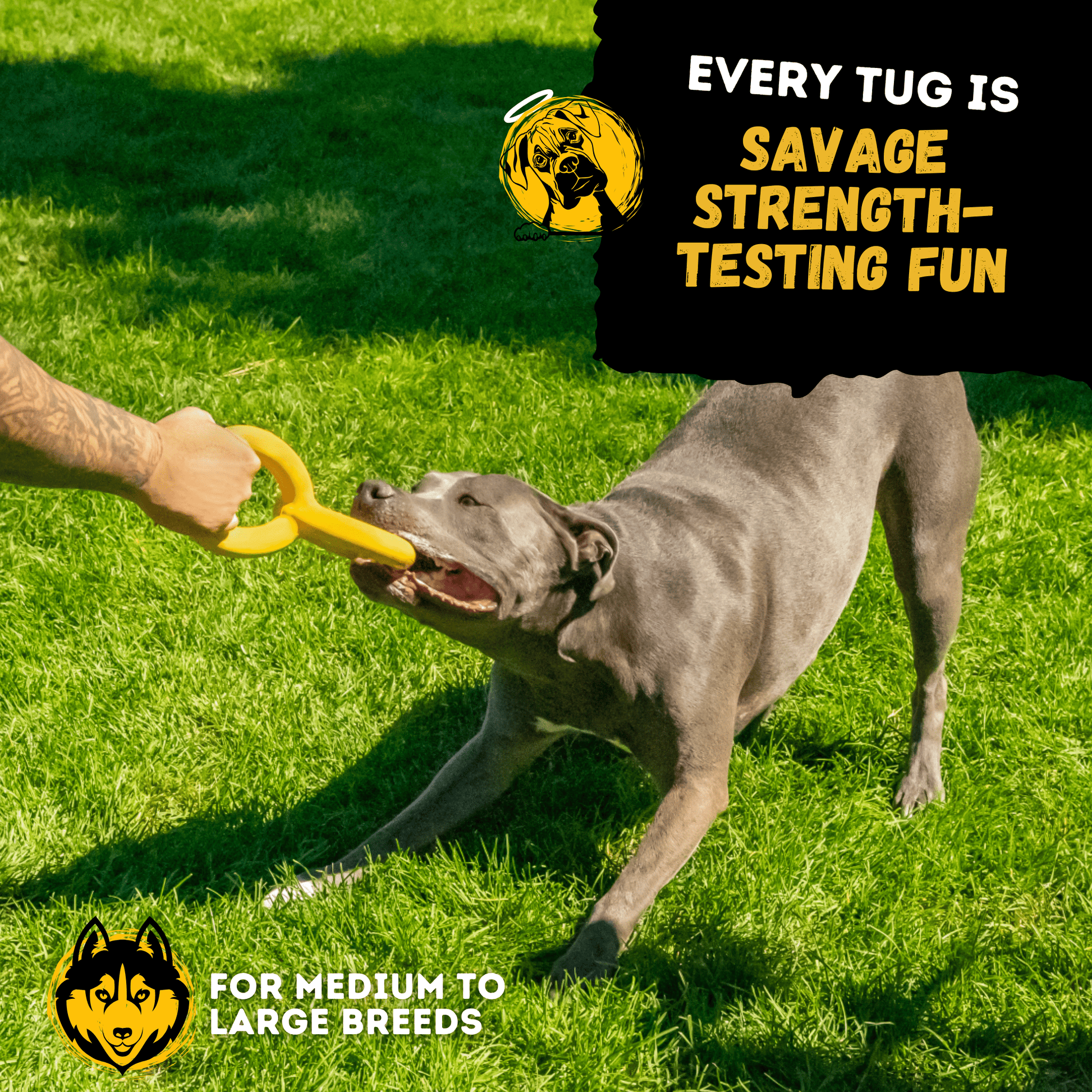 Tug Rings Monster K9 Dog Toys