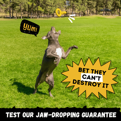 Tug Rings Monster K9 Dog Toys