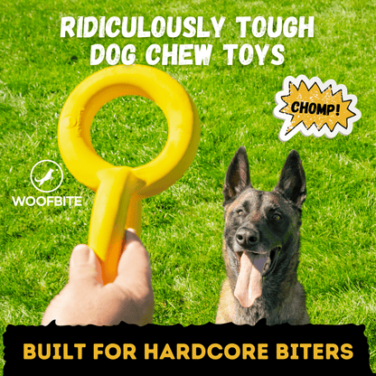 Tug Rings Monster K9 Dog Toys