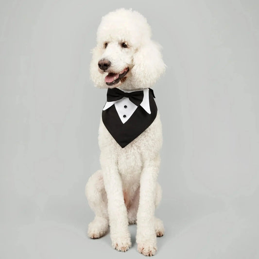 Tuxedo Bandana WOOFESSENTIAL