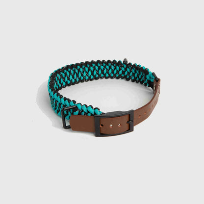 Forever Collar Carmella & Rose