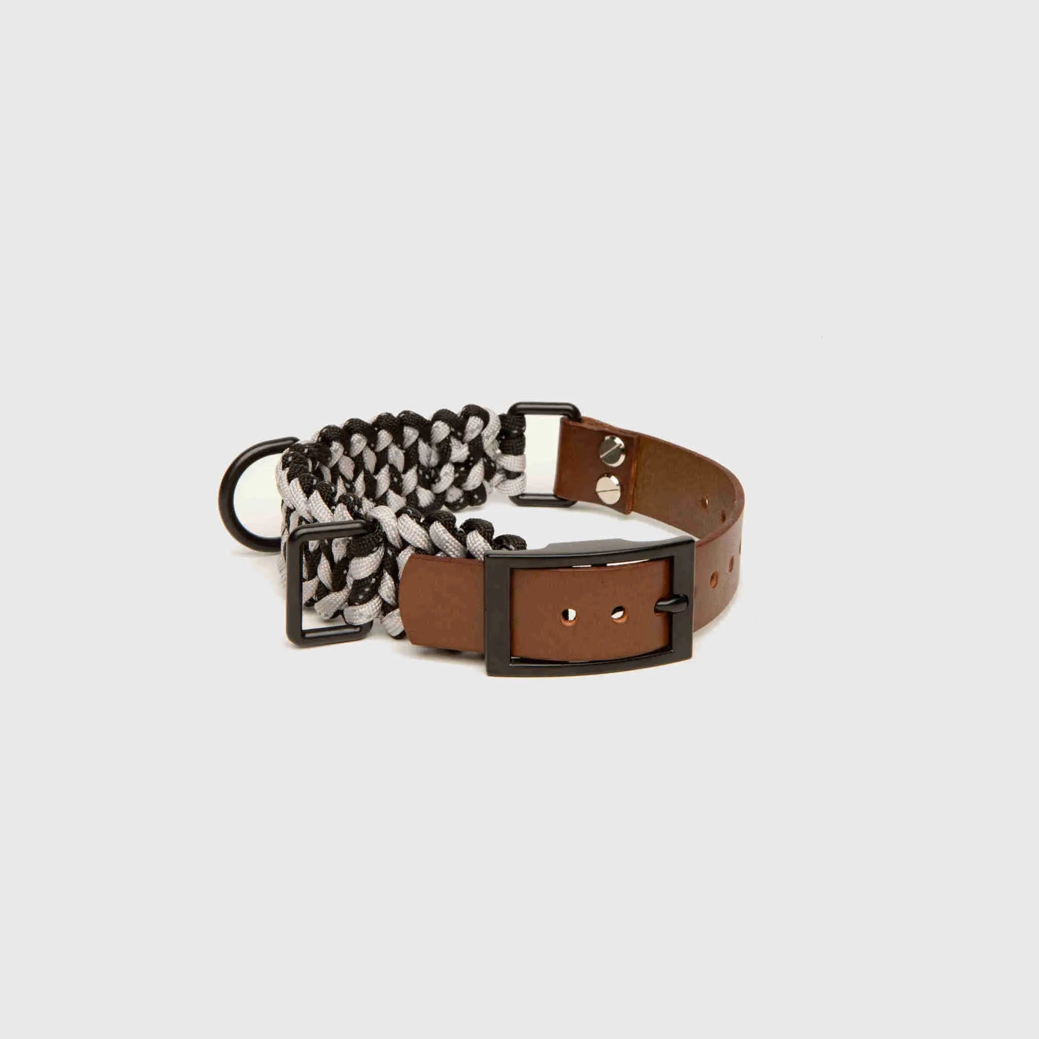 Forever Collar Carmella & Rose
