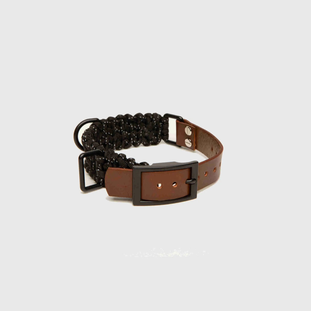 Forever Collar