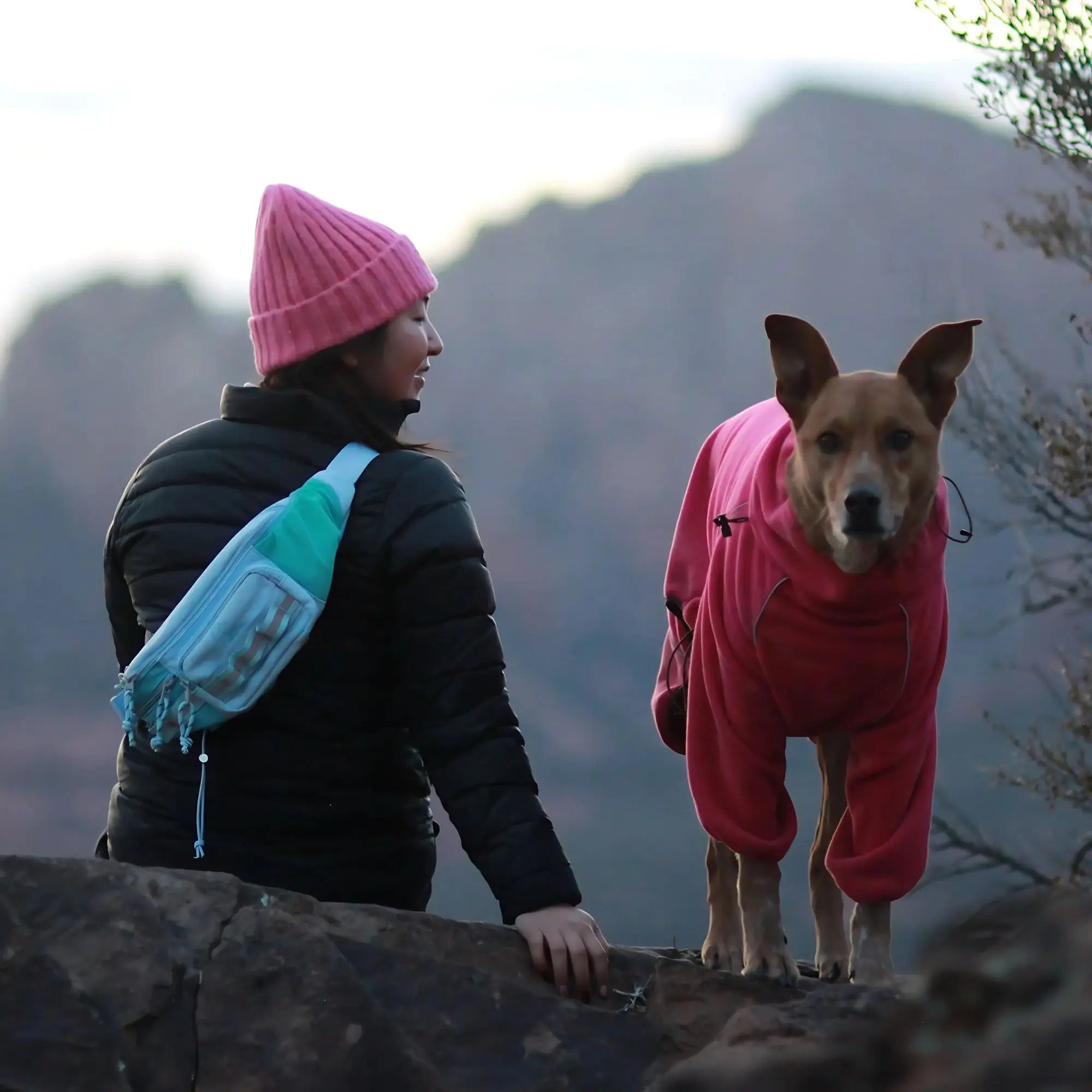 Walk'n Wag Hip Pack WOOFESSENTIAL