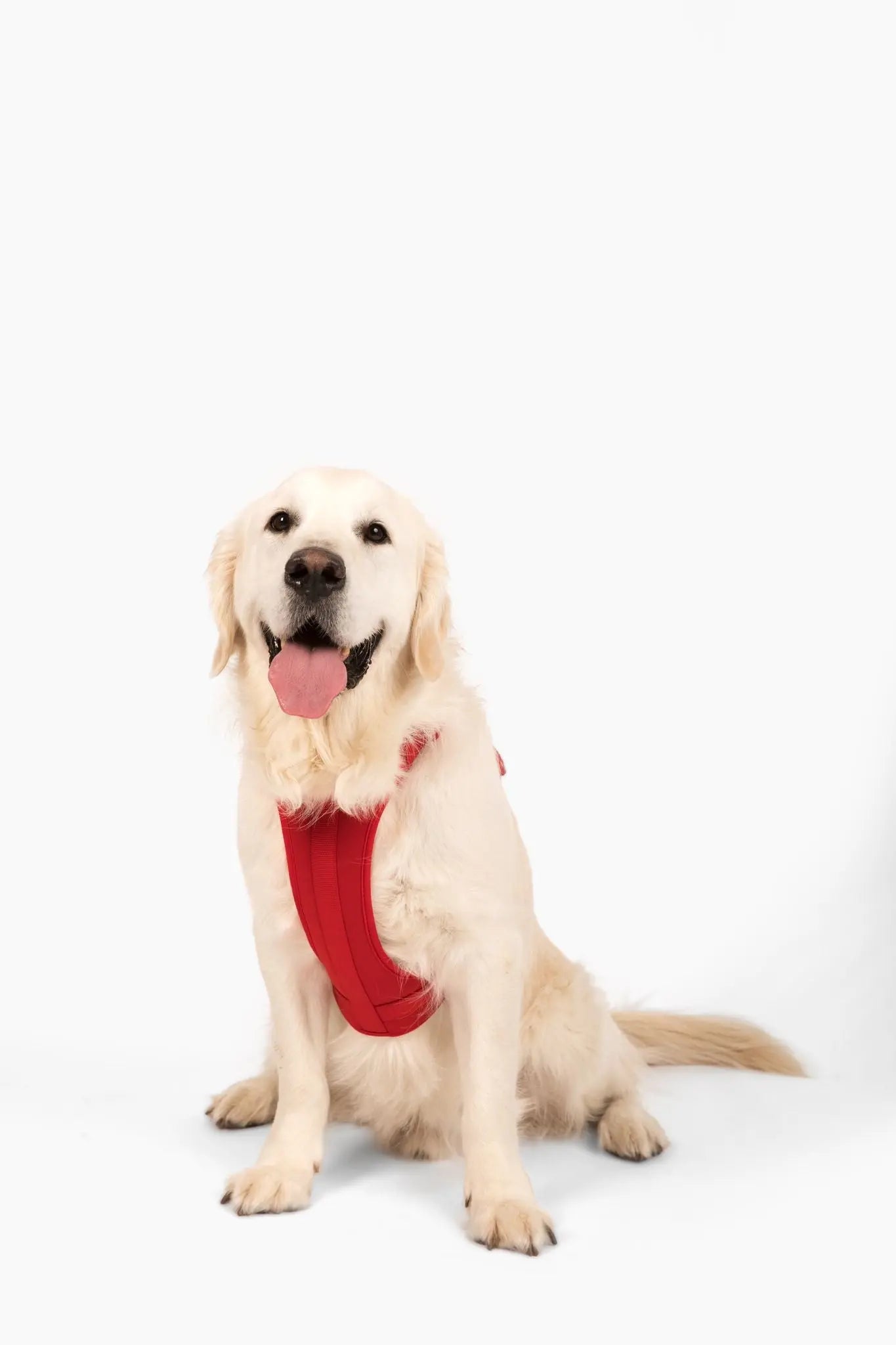 Harness - K9 Outdoors