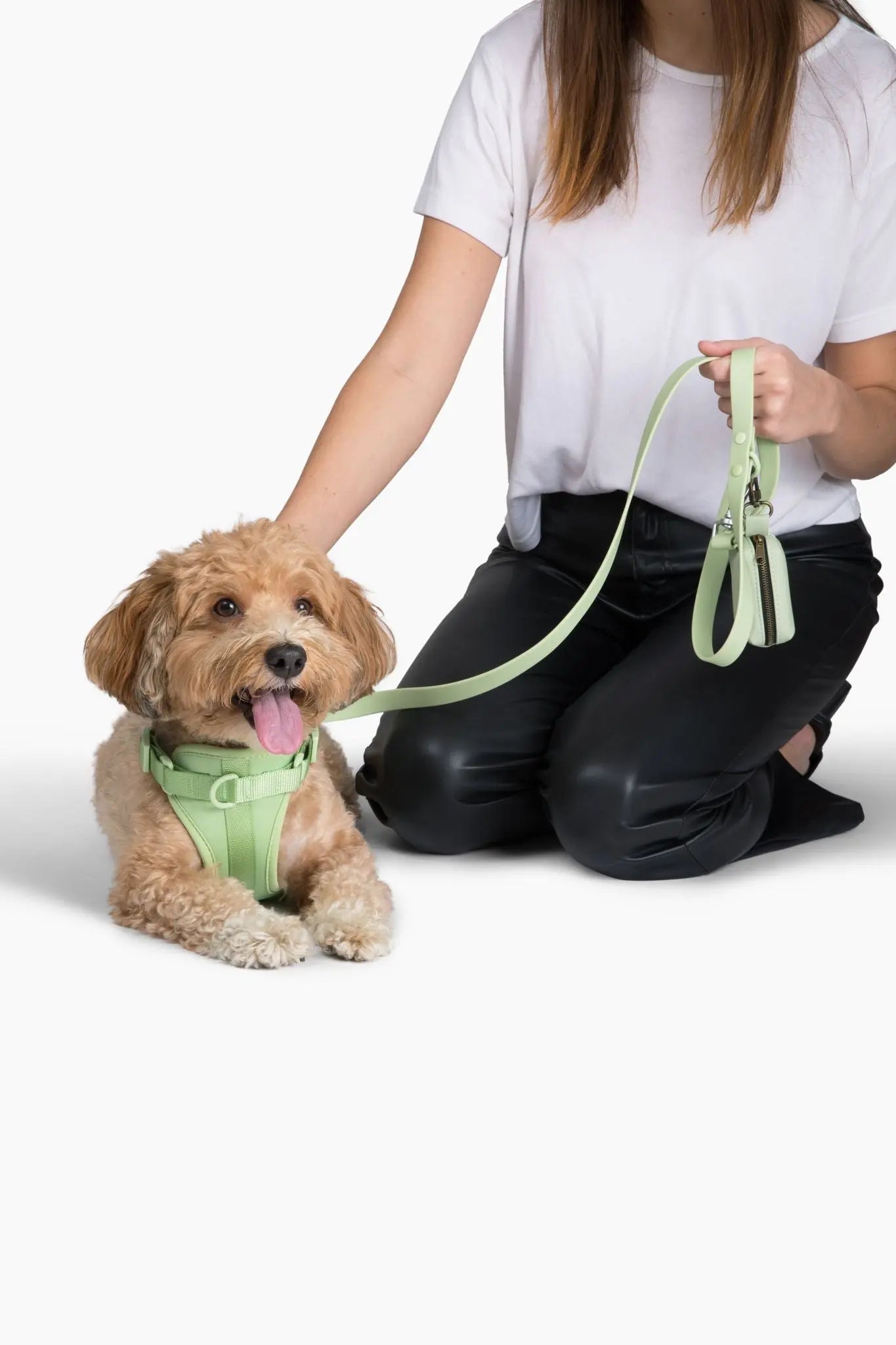 Harness - K9 Outdoors