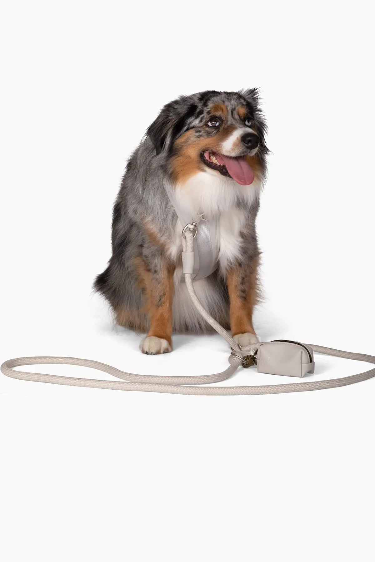 Harness