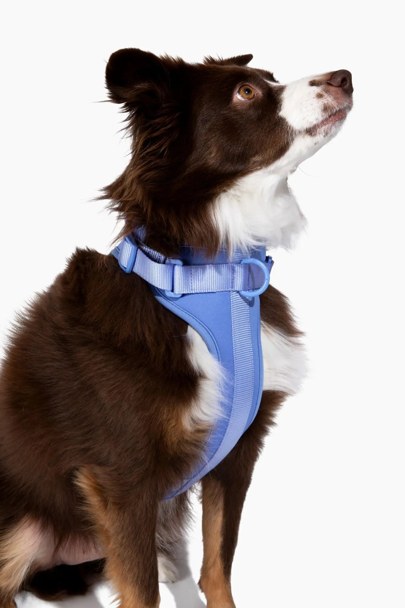Harness - K9 Outdoors
