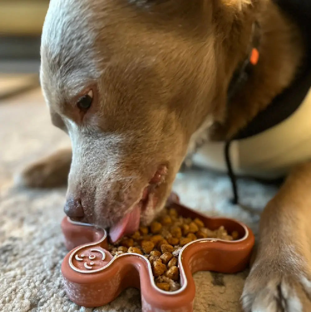 FreezGingerbread - Enrichment Chew Toy Freezbone