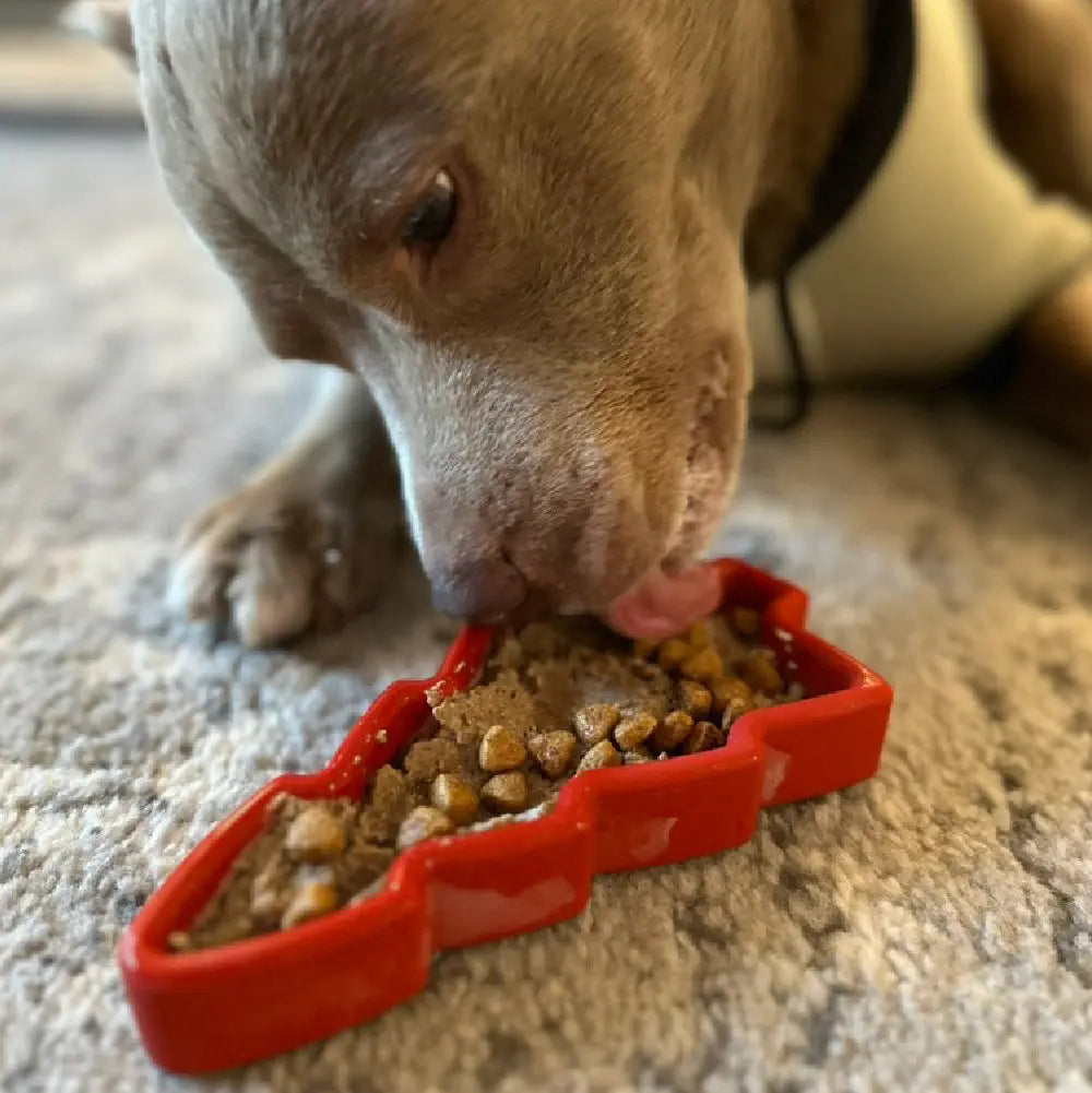 FreezTree - Mental Stimulation Chew Toy Freezbone