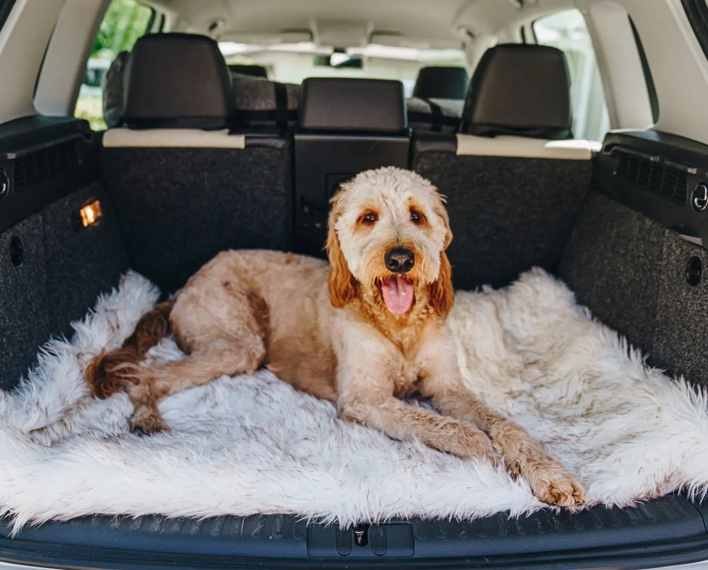 PupRug by Paw.com™ Portable Orthopedic Dog Bed - White with Brown Accents Paw.com