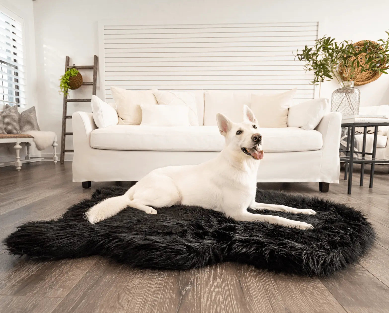 PupRug by Paw.com™  Faux Fur Orthopedic Dog Bed - Curve Midnight Black Paw.com