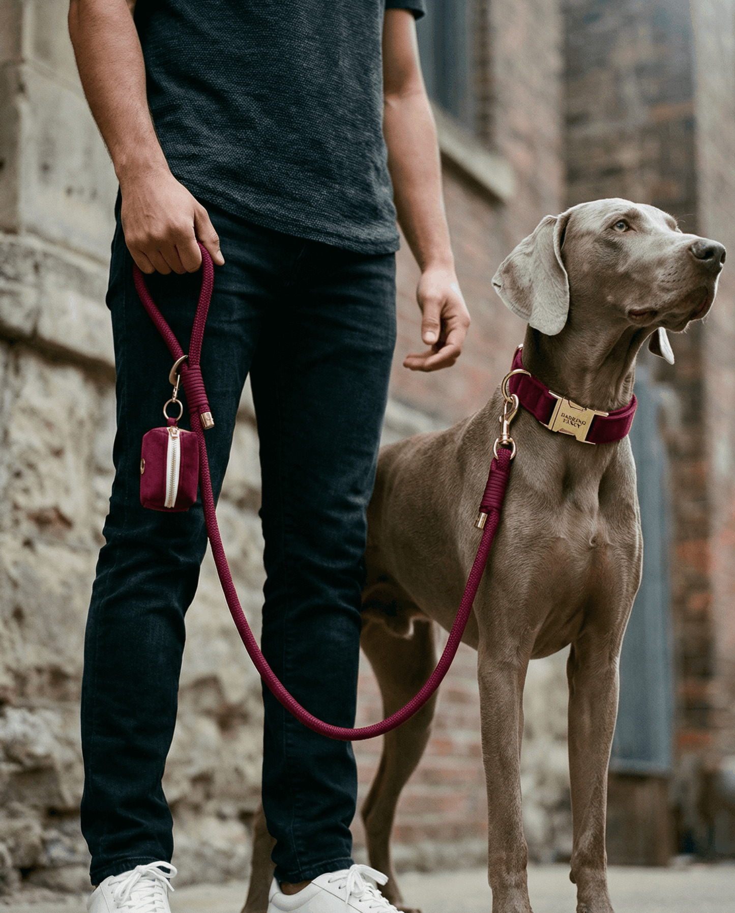 Signature Velvet Poop Bag Dispenser - Wine