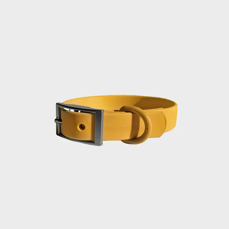 Everyday Collar - K9 Outdoors